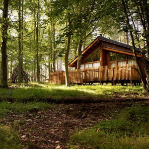 Thorpe Lodges in Thetford Forest